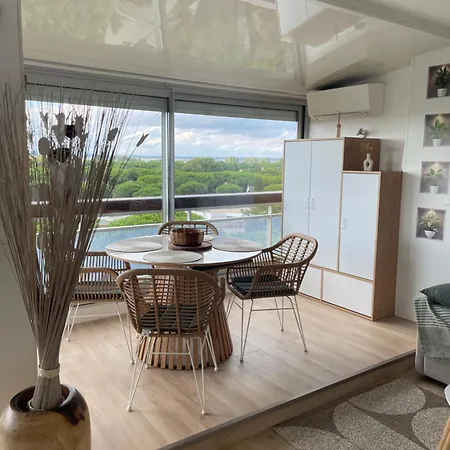 Vue Panoramique Pour Ce Grand En Centre 公寓