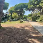 Vue Panoramique Pour Ce Grand En Centre