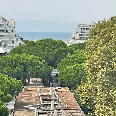 公寓 Vue Panoramique Pour Ce Grand En Centre