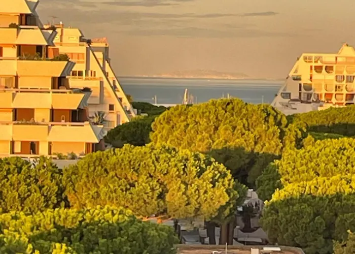 Apartamento Vue Panoramique Pour Ce Grand En Centre *