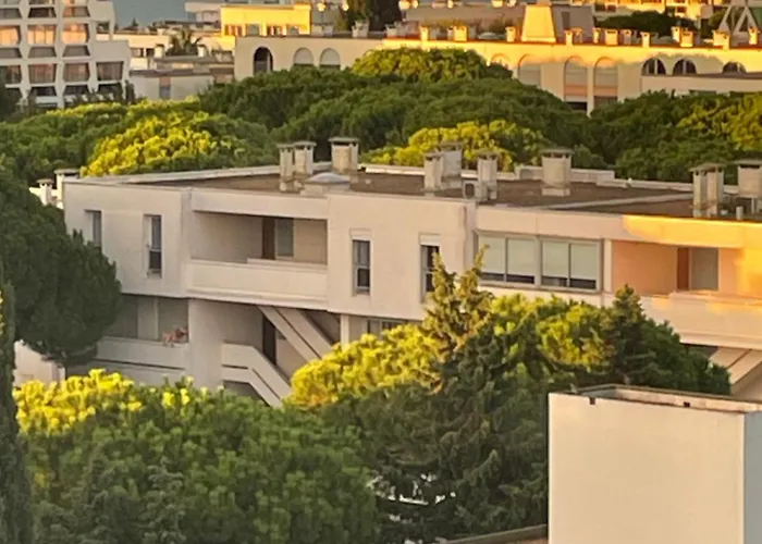 Vue Panoramique Pour Ce Grand En Centre La Grande-Motte