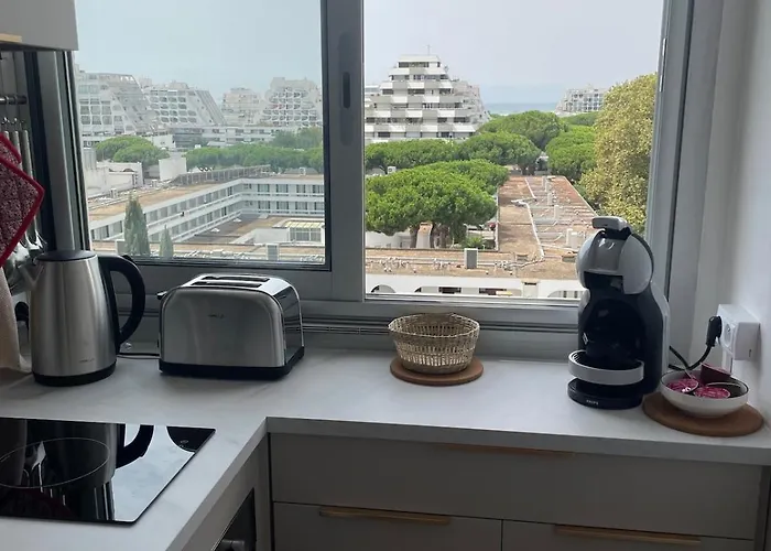 Vue Panoramique Pour Ce Grand En Centre La Grande-Motte