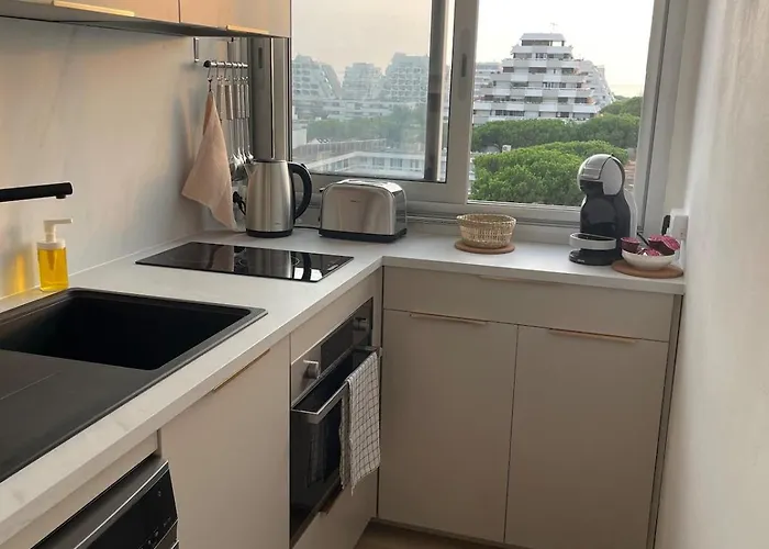 Vue Panoramique Pour Ce Grand En Centre * La Grande-Motte