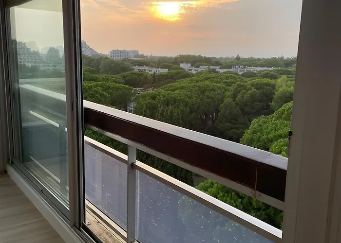 Vue Panoramique Pour Ce Grand En Centre Apartamento La Grande-Motte