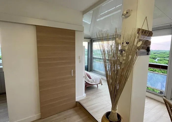 Vue Panoramique Pour Ce Grand En Centre Apartamento *