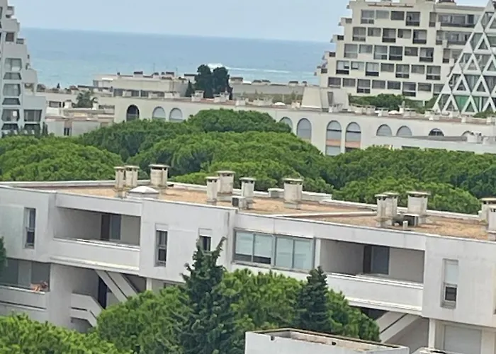 Vue Panoramique Pour Ce Grand En Centre Apartamento La Grande-Motte