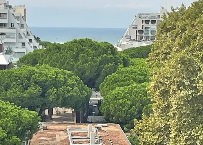 Apartamento Vue Panoramique Pour Ce Grand En Centre