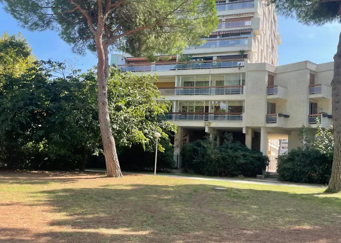 Vue Panoramique Pour Ce Grand En Centre *